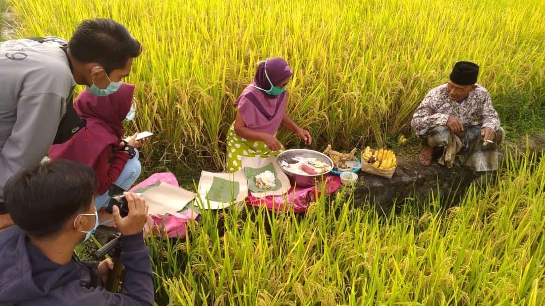 Ritual Panen Padi sebagai Wujud Syukur Masyarakat Indonesia