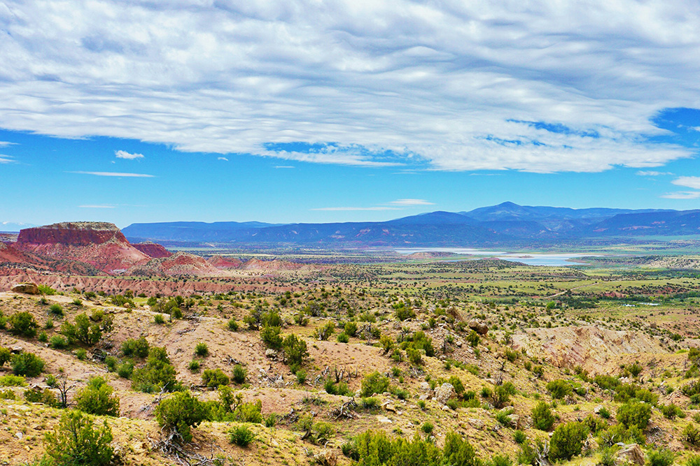Jalin Persahabatan Alam di New Mexico